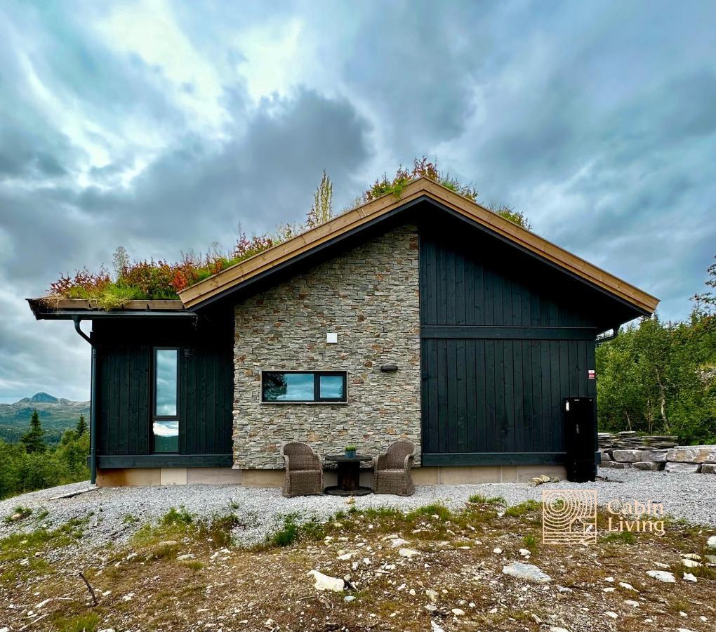 Brand New Cabin On The Sunny Side Of Gaustatoppen With A Great View Tuddal Luaran gambar