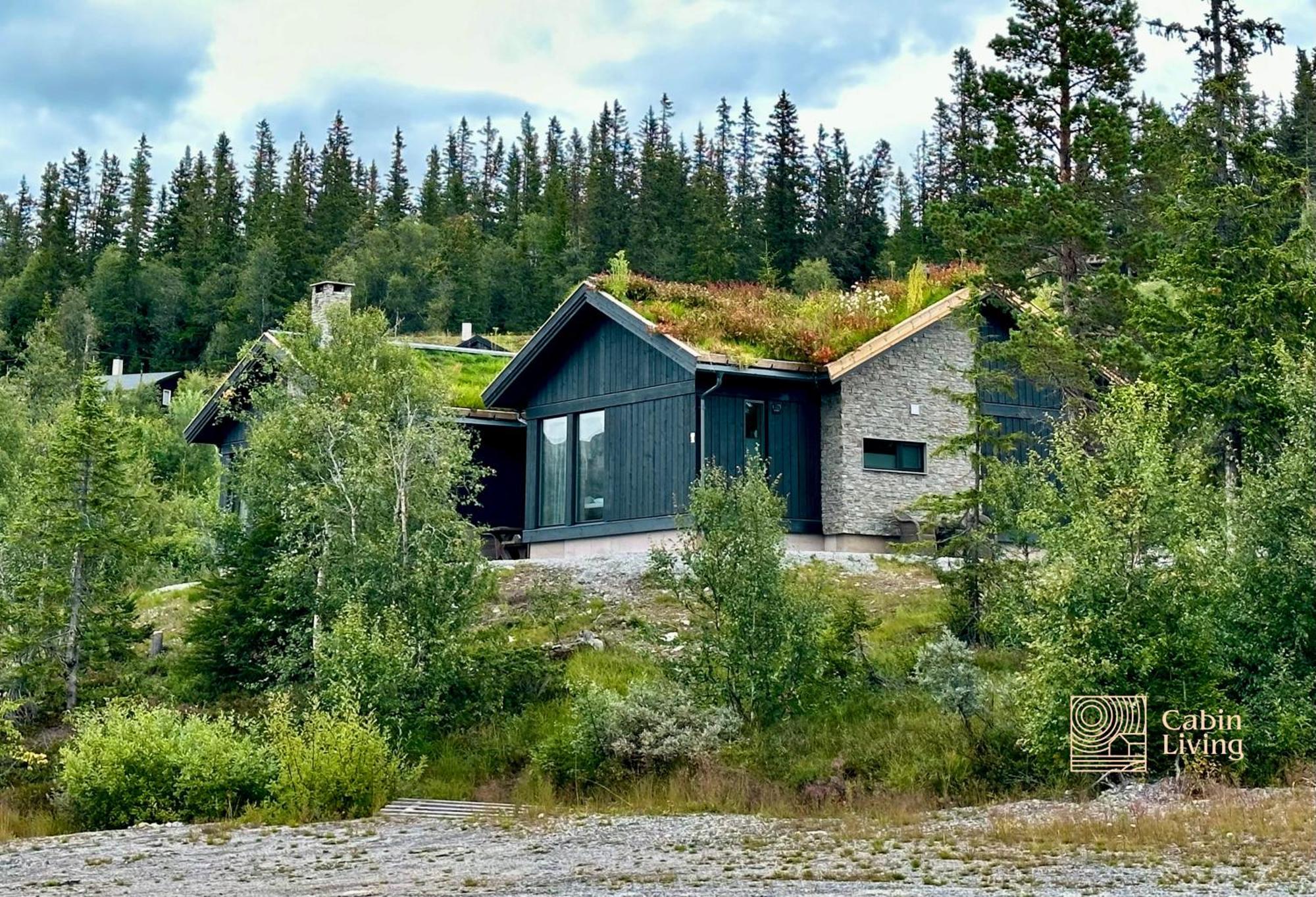 Brand New Cabin On The Sunny Side Of Gaustatoppen With A Great View Tuddal Luaran gambar